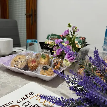 Apartamento Domus Caiazzo *