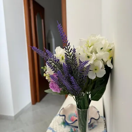 Domus Caiazzo Apartman *